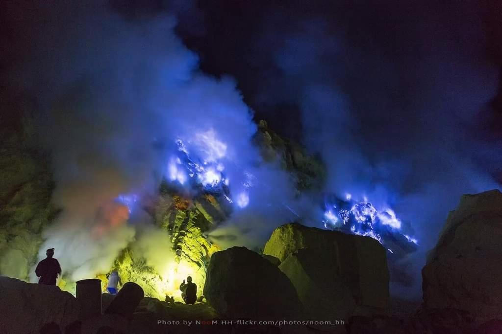 Dannu'S Homestay Ijen And Bromo Tour Banyuwangi  Luaran gambar