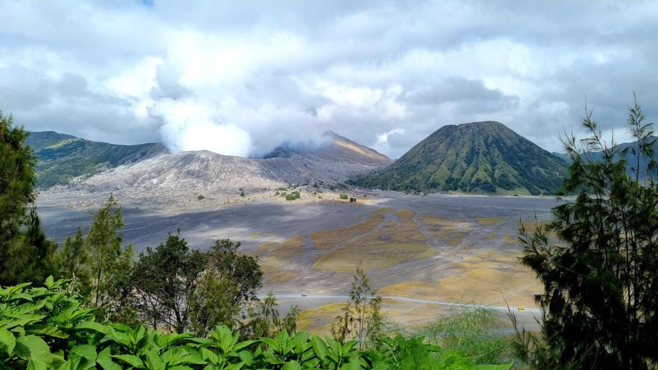 Dannu'S Homestay Ijen And Bromo Tour Banyuwangi  Luaran gambar